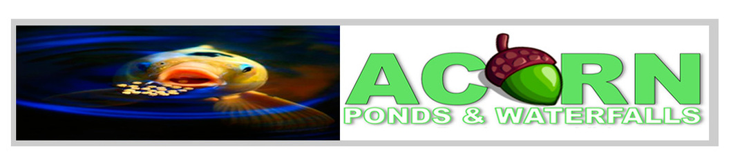 Pond & Waterfall/Water Feature Cleaning, Maintenance & Repair Contractors - Acorn