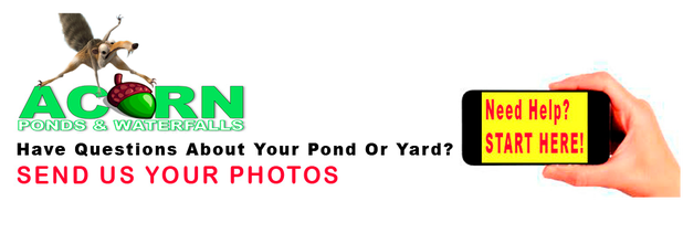 Look no further for expert pond maintenance services in Rochester NY, call 585-442-6373 now!