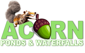 Pond (KOI) Cleaning & Maintenance Contractor Of Rochester NY - Acorn Ponds & Waterfalls