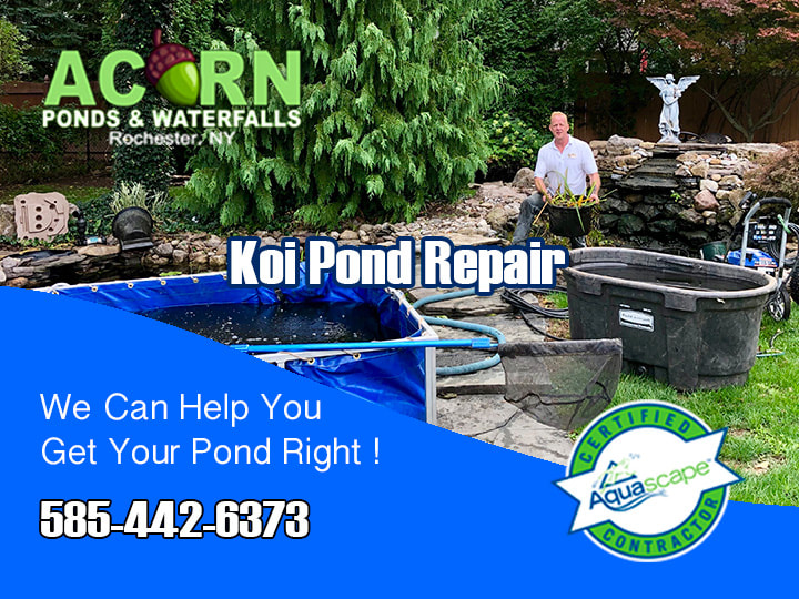 Koi Pond-Water Feature Repair Services In Rochester-Buffalo-Western-NY