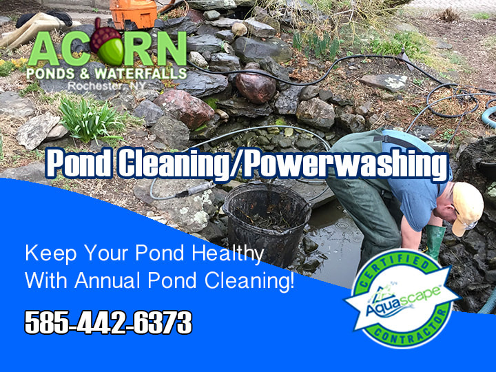 Pond Cleaning-Power Washing Services In Rochester-Buffalo-Western-NY